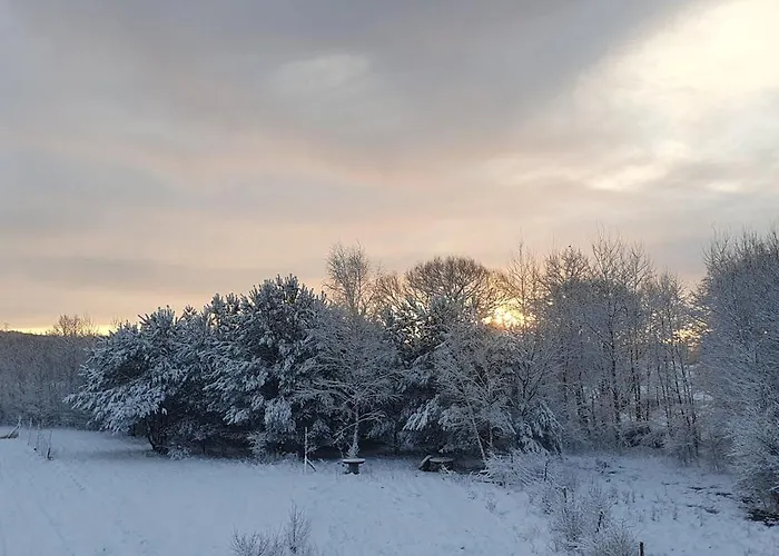 Design Апартаменты